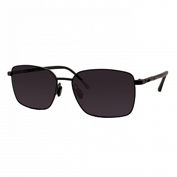 Harrington T10061 S/22 titanium Солнцезащитные очки 