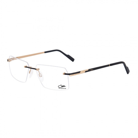 7097 c1 CAZAL (1)