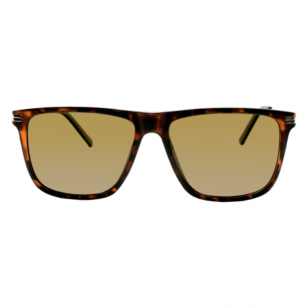 Zen polar 1020-59 (2).HEIC