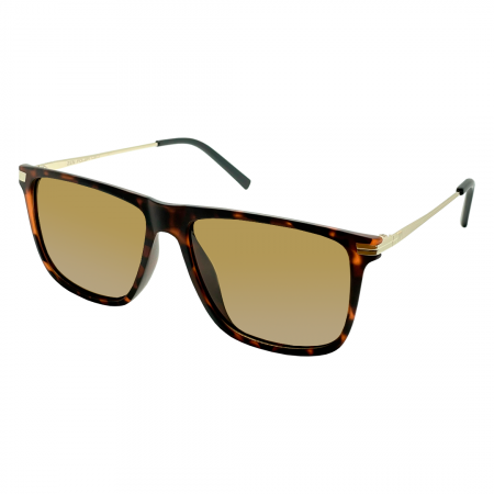 Zen polar 1020-59 (1).HEIC