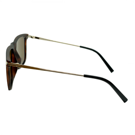Zen polar 1020-59 (3).HEIC
