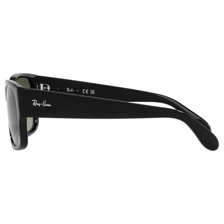 RAY BAN 4388 601_71 (3)