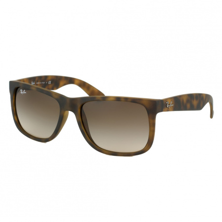 RAY BAN 4165 710_13 54 (1)