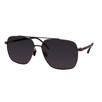 Harrington T10063 S/44 titanium Солнцезащитные очки 